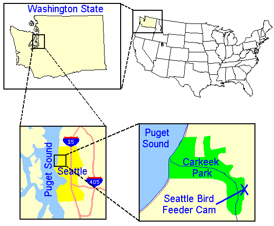 Location of the Seattle BirdCam