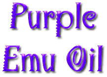 Products and Prices