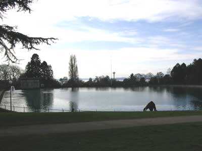 reservoir_with_a_view